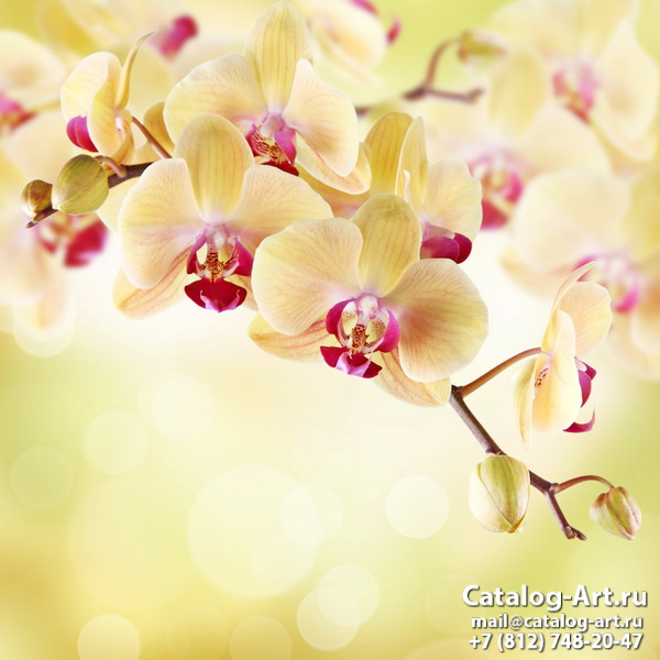 картинки для фотопечати на потолках, идеи, фото, образцы - Потолки с фотопечатью - Желтые и бежевые орхидеи 15